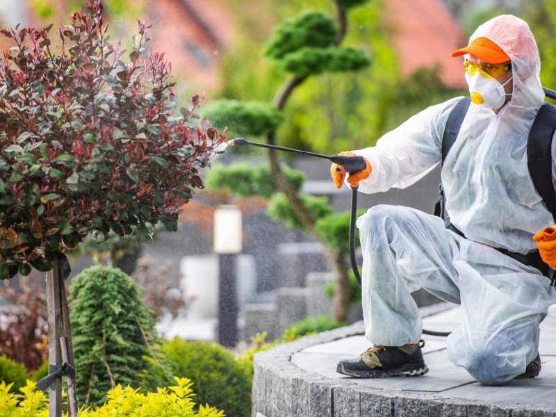 Altıeylül Haşere İlaçlama